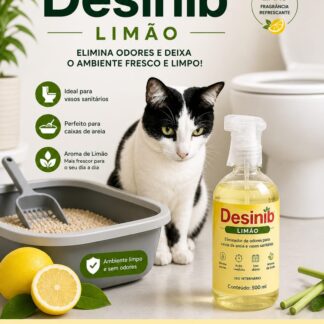 DesiniB Limão - 500 ml